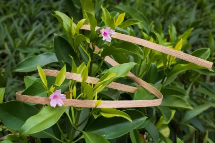 使用后環(huán)?？山到獾募埓虬鼛?/></p><p><strong><span style=